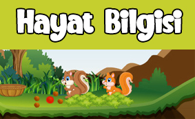 1.sınıf hayat bilgisi test çöz
