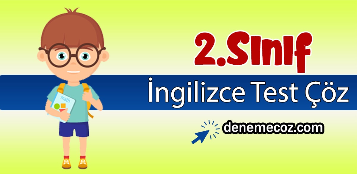 2 sınıf testleri türkçe