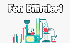 3.sınıf fen bilgisi test çöz