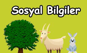 4.sınıf hayat bilgisi test çöz