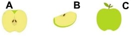 kpss soruları