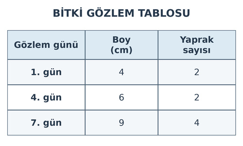 3. Sınıf Fen Bilimleri Canlılar Dünyasına Yolculuk Testi Çöz - Test 3