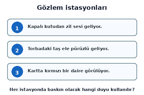 3. Sınıf Fen Bilimleri Beş Duyumuz Testi Çöz - Test 4