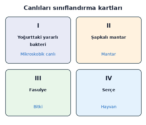 3. Sınıf Fen Bilimleri Canlılar Dünyasına Yolculuk Testi Çöz - Test 4