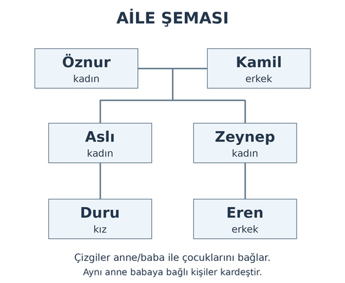 3. Sınıf İngilizce 2. Ünite My Family Testi Çöz - Test 3
