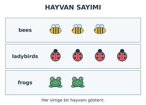 3. Sınıf İngilizce 10. Ünite Nature Testi Çöz - Test 3