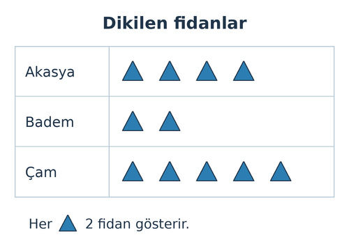 3. Sınıf Matematik Tablo ve Şekil Grafiği Testi Çöz - Test 3