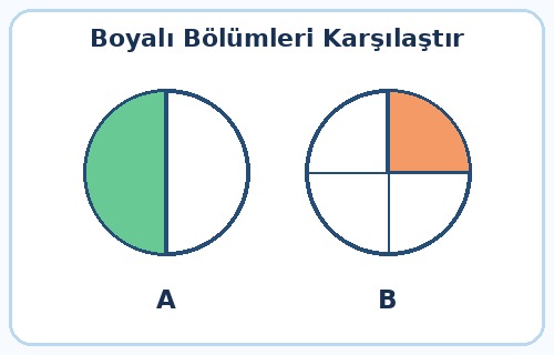 2. Sınıf Matematik Kesirler Testi Çöz - Test 4